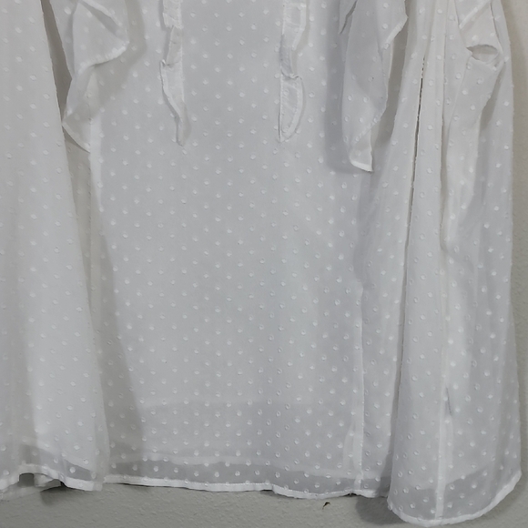 Torrid Swiss Dot Sheer Ruffled Blouse Size 4 4X White Cottage Flowy Delicate - Picture 3 of 13
